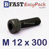 สกรูหัวจมดำ M 12 x 300 *เกลียวครึ่ง*