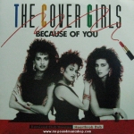 The Cover Girls - Because Of You