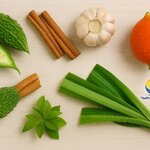 สมุนไพรช่วยลดน้ำตาลในเลือด ทางเลือกธรรมชาติเพื่อสุขภาพที่ดีกว่า