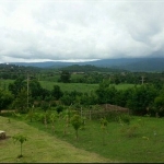 ขายที่ดินปากช่อง 35 ไร่ 1 งาน 9 ตรว. อยู่ที่เขาใหญ่ห่างจาก Toscana Valley Khaoyai 5 กิโล