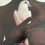 Santana - Santana's Greatest Hits