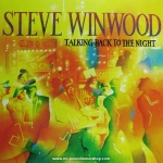 Steve Winwood - Talking Back To The Night