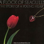 A Flock of Seagulls - The Story of A Young Heart