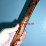 ไม้มงคลหายาก... ไม้ตะพด(ไม้มะริด)