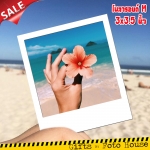 โพลารอยด์ ไซด์ M (กลาง)