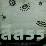 รวมเพลงหลายศิลปิน - สีสรร