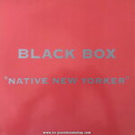 Black Box - Native New Yorker