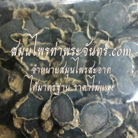 กระชายดำ 500กรัม