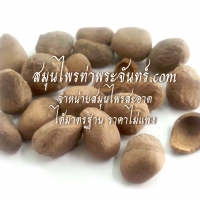 ลูกกระเบาแห้ง 500กรัม