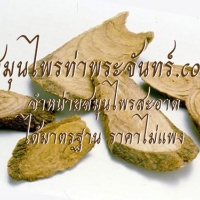เถาวัลย์เปรียงแห้ง 500กรัม