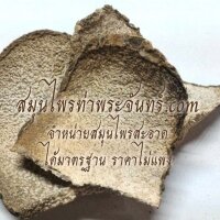 หัวบุก 3 กิโล กิโลละ230฿