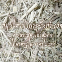 ใต้ใบแห้ง 500กรัม