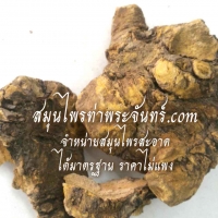 โกฐน้ำเต้าแห้ง 500กร้ม