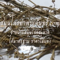 โกฐจุฬาลัมพาแห้ง / ชิงเฮาแห้ง 500กรัม