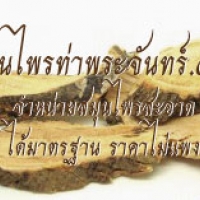 ชะเอมไทย 500กรัม