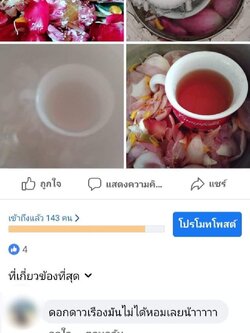 ดาวเรือง