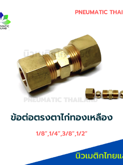 ข้อต่อตรงตาไก่ทองเหลือง 3/8" ยูเนี่ยนตาไก่