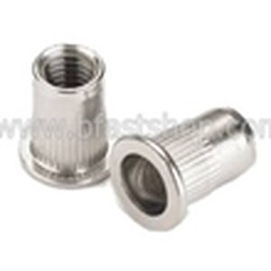 สแตนเลส : รีเวท-นัท หัวแบน คอลาย BEM