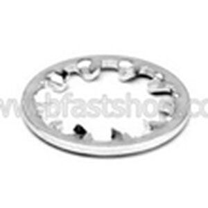 สแตนเลส : แหวนจักรใน