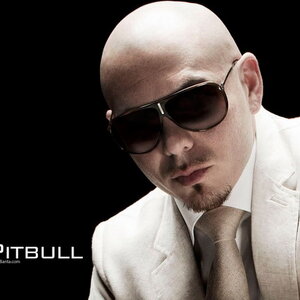 Pitbull