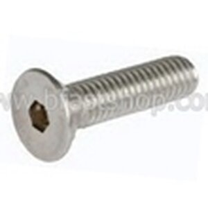 สแตนเลส : สกรูหัวจมเตเปอร์