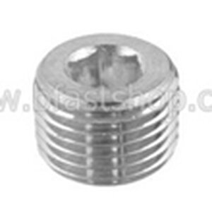 สแตนเลส : สกรูตัวหนอนเกลียวแป๊ป