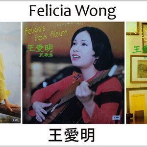 Felicia Wong (王愛明)