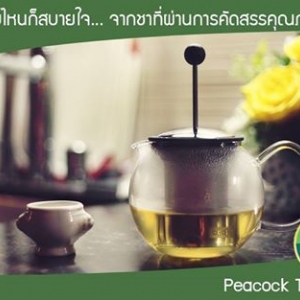 เคล็ดไม่ลับการชาชา ให้อร่อย