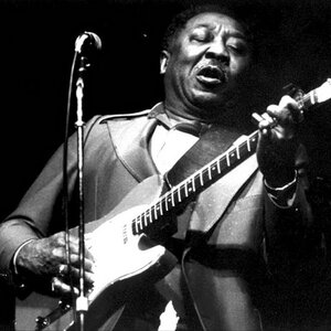 Muddy Waters