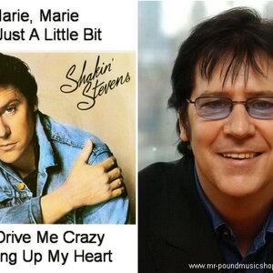Shakin' Stevens