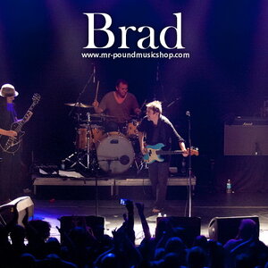Brad