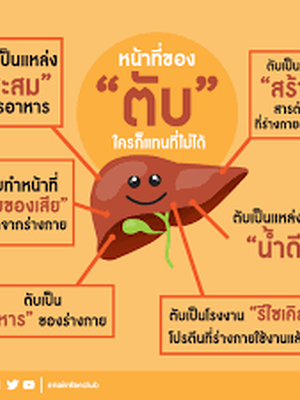 5 สมุนไพร บำรุงตับชั้นเยี่ยม