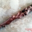 ไม้เท้า แกะลายลูกท้อ ทรงโบราณ สวย คลาสิก (9)