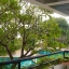 ขายบ้านริมทะเลโครงการ Rama Harbour View Condo (รามาฮาร์เบอร์วิว คอนโดมิเนียม) 4 ห้องนอน 4 ห้องน้ำ