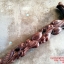 ไม้เท้า แกะลายลูกท้อ ทรงโบราณ สวย คลาสิก (9)