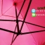 เต็นท์พับได้ สีชมพู ขนาด 3m x 3m พร้อมพลาสติกใส 1 ด้าน