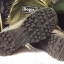รองเท้า Bogie.1 TACTICAL BOOT (Spider 3) ข้อยาว สีดำ หนังและผ้าคอดูร่า (CORDURA)ใส่สบาย ซิปข้าง ระบายอากาศดี ไม่อับ