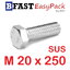 สกรูหัวเหลี่ยมสแตนเลส M20 x 250