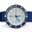 Seiko Save The Sea Special Edition Automatic ปลาปักเป้า (Sold)