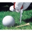 VICTORINOX GOLF TOOL (0.7052.3)