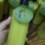 สครับขัดผิวมะกรูด ORGANIC