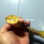 เขากวาง ใช้ทำด้ามมีดได้ ลายสวย