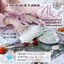 VMM : Alice Gypsy Eau De Perfume ยิปซีออเดอร์เฟอฟูม กลิ่น อลิช