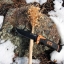 มีดใบตาย/มีดยังชีพ Gerber Bear Grylls Ultimate Pro มีนกหวีด+ที่ลับมีด+ที่จุดไฟ ของแท้ ของใหม่