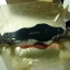 กล้องส่องพระ/เพชร ญี่ปุ่น2เลนส์ RUPER (Made in JAPAN) กำลังขยาย 10X +15X ....ใหม่เก่าเก็บ ไม่ผ่านการใช้ แท้