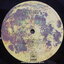 Santana - Moonflower