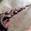 ไม้เท้า แกะลายลูกท้อ ทรงโบราณ สวย คลาสิก (9)