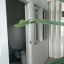ห้เช่าบ้านเดี่ยว หมู่บ้าน นวธานี โซน เรสซิเดนซ์ Navatanee Residence หมู่บ้าน Luxury โครงการ อยู่ติดถนนเกษตร-นวมินทร์ตัดใหม่ ว่าง