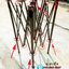 เต็นท์พับได้ สีขาว ขนาด 2m x 2m