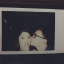 โพลารอยด์ ไซด์ S (เล็ก)